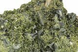 Lustrous, Epidote Crystal Cluster on Actinolite - Pakistan #257762-2